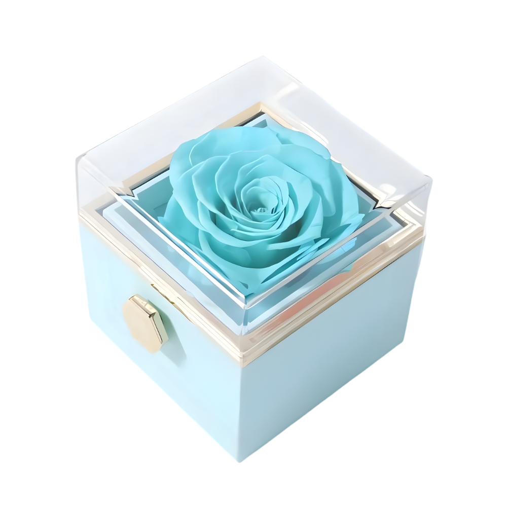 Love Moment Box - Transparent