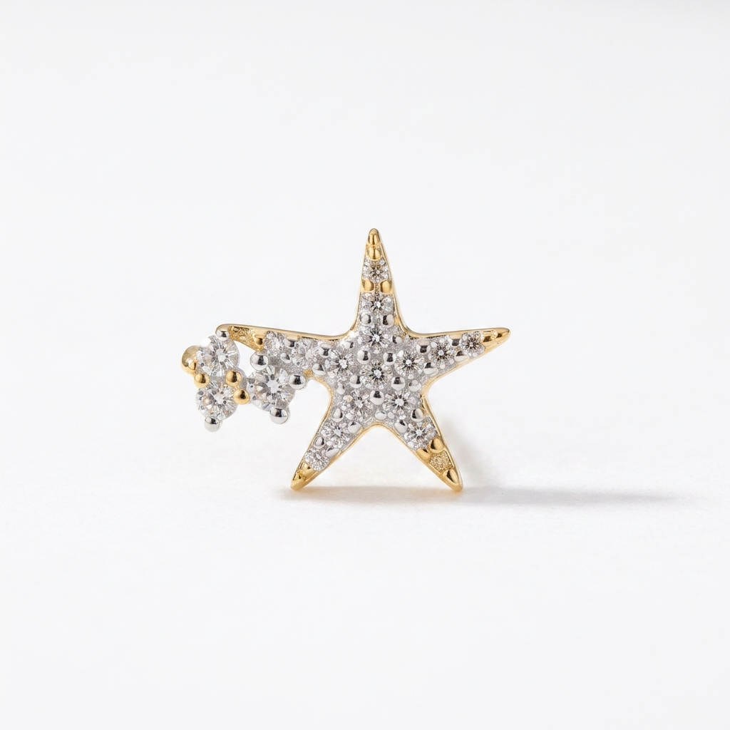 The Shiny Star Silver Earrings