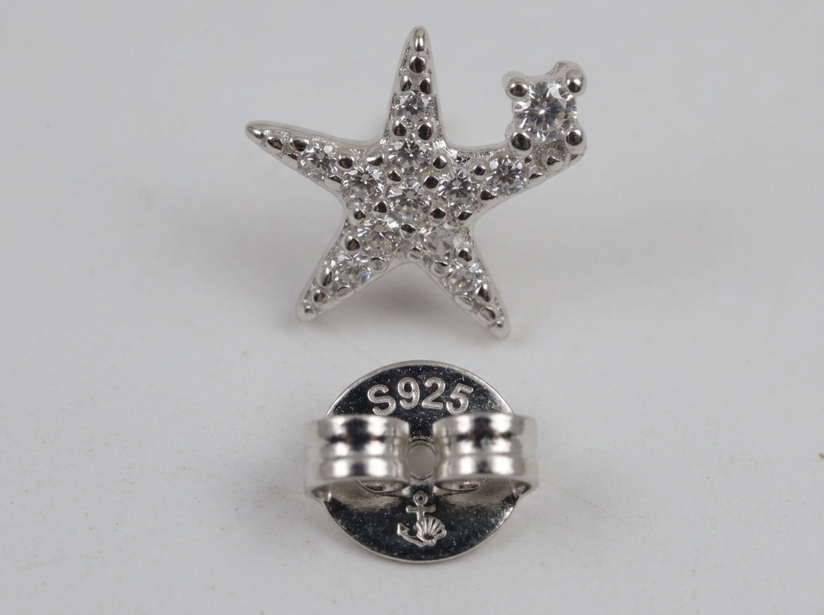 The Shiny Star Silver Earrings