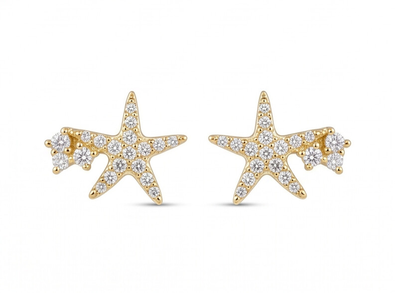 The Shiny Star Silver Earrings