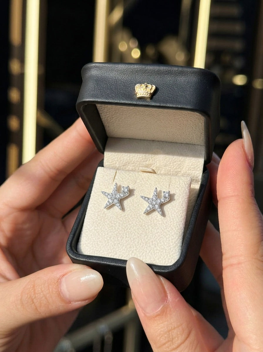 the-shiny-star-silver-earrings_04_Packaging